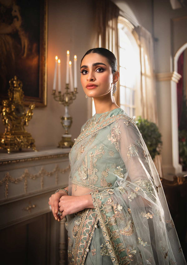 Pakistani Saree Dress in Greenish Grey Shade 2022