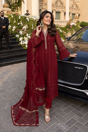 Pakistani Traditional Dress with Fine Embroidery