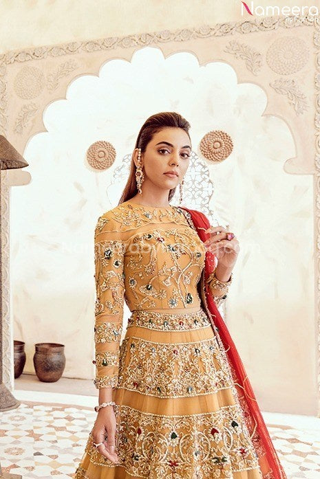 Pakistani Lehenga Choli for Bride Online 2021 Closeup View