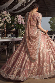 Pakistani Valima Lehnga Choli with Embroidery Backside Look