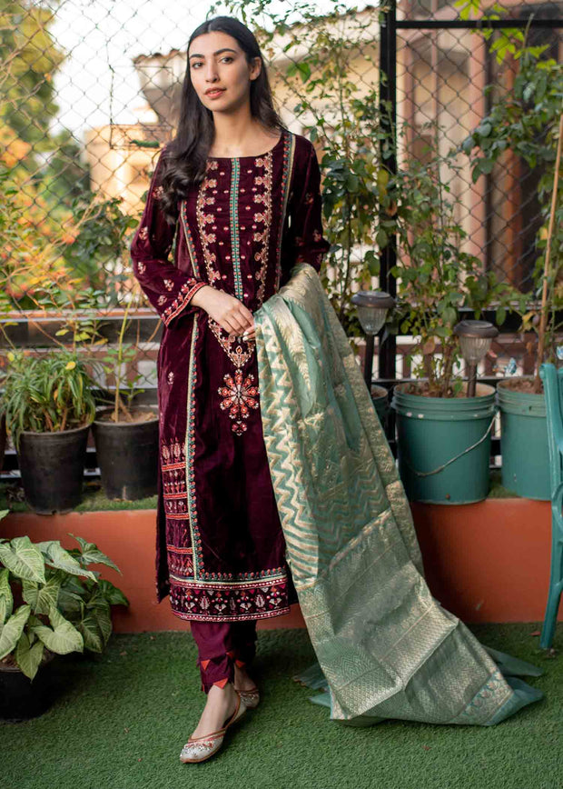 Pakistani Velvet Dress with Fine Embroidery