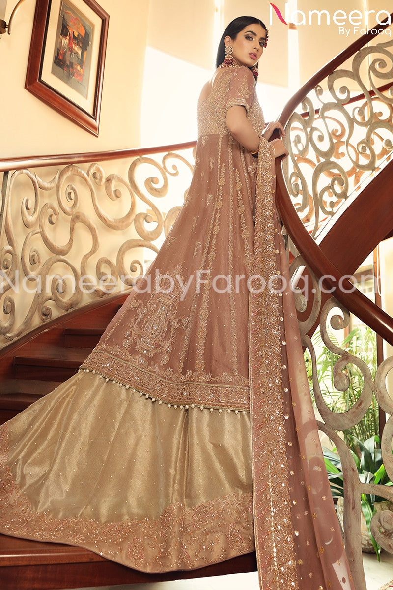 Pakistani Walima Bridal Dress with Embroidery Backside Look
