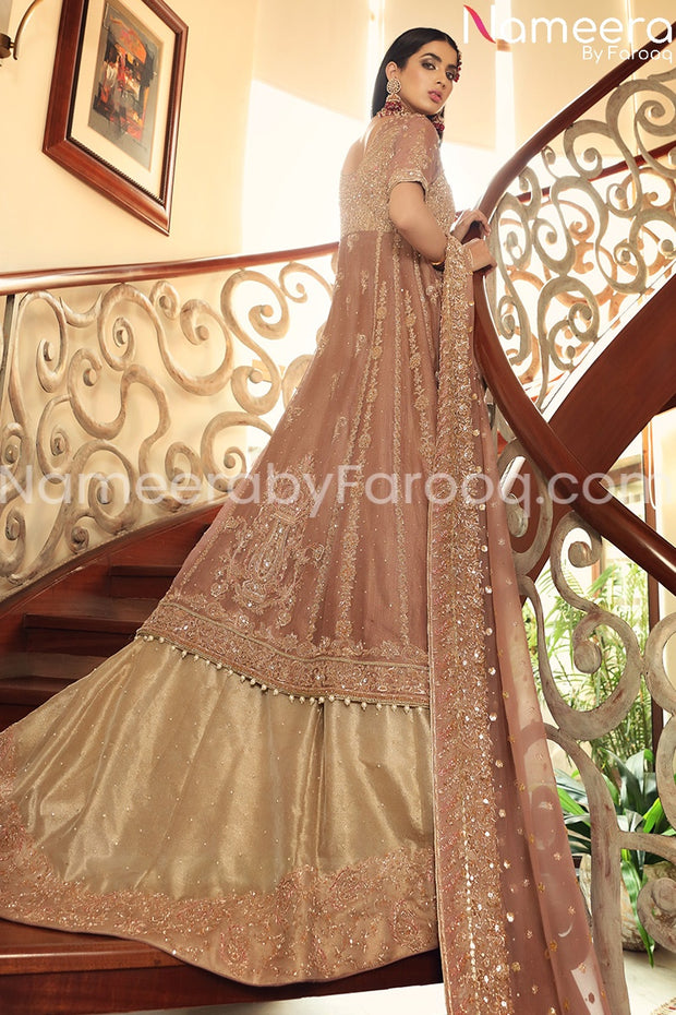 Pakistani Walima Bridal Dress with Embroidery Backside Look