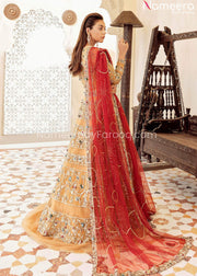 Pakistani Wedding Dress