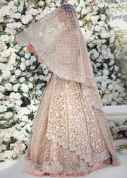 Pakistani Wedding Dress