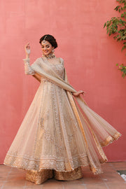 Pakistani Wedding Dresses
