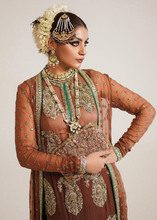 Pakistani Wedding Dress in Brown Sharara and Gown Style Online