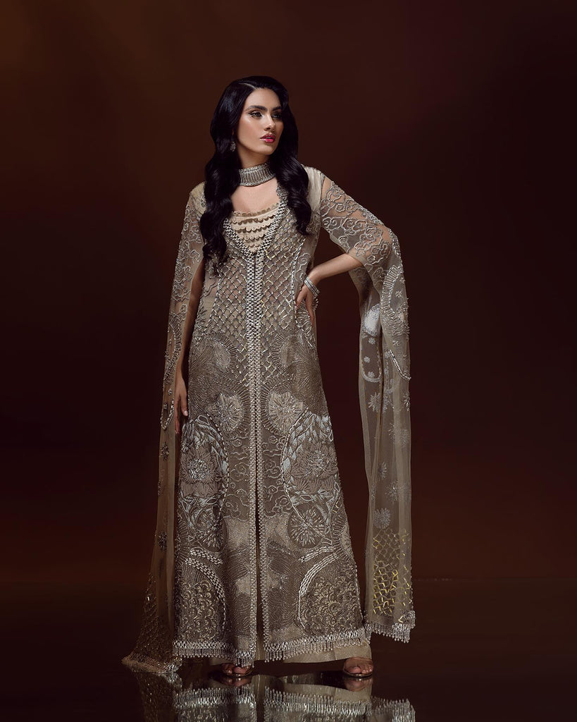 Buy Formal Chiffon Dresses For Women Online In Pakistan | Jazmin