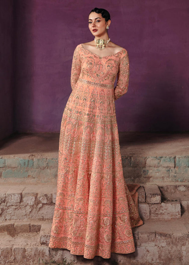 Pakistani Wedding Dress in Organza Pishwas Frock Style Online