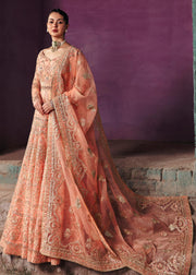 Pakistani Wedding Dress in Organza Pishwas Frock Style