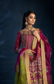 Pakistani Wedding Dress in Pishwas and Sharara Style Online