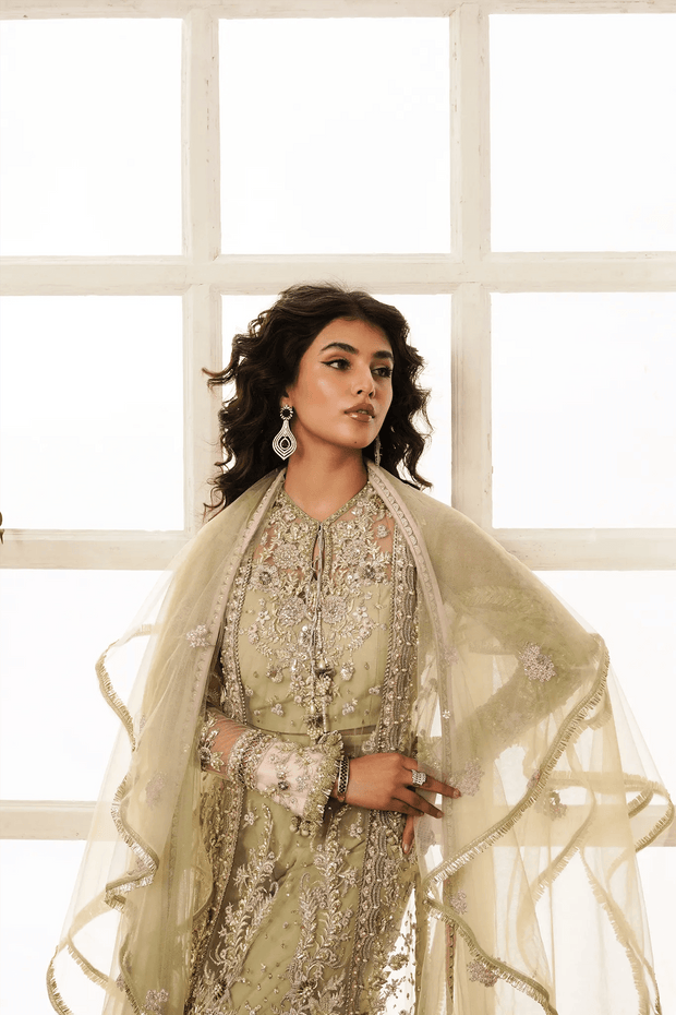 Pakistani Wedding Dress in Premium Net Fabric