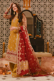 Pakistani Wedding Kameez Trouser Dupatta Mehndi Dress