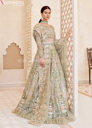 Pakistani Wedding Lehenga Choli Dress Online