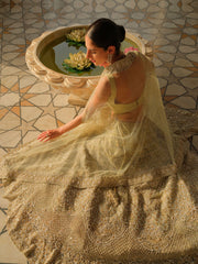 Pakistani Wedding Lehenga Choli and Dupatta Dress
