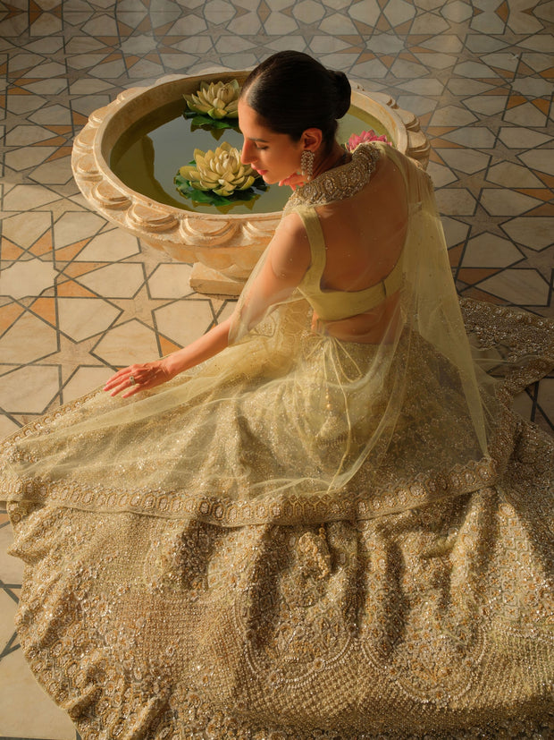 Pakistani Wedding Lehenga Choli and Dupatta Dress