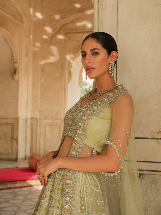 Pakistani Wedding Lehenga Choli and Dupatta Dress