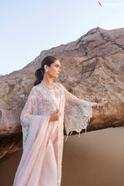 Wedding Party Dress Pakistani 