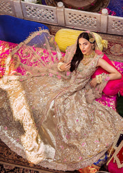 Pakistani Bridal Gold Tissue Lehnga for Wedding Overall Look