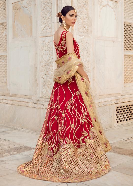 Pakistani Bridal Lehnga with Trail Shirt for Wedding Backside View