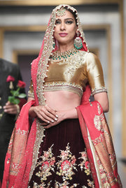 Pakistani Bridal Velvet Lehnga Choli for Wedding
