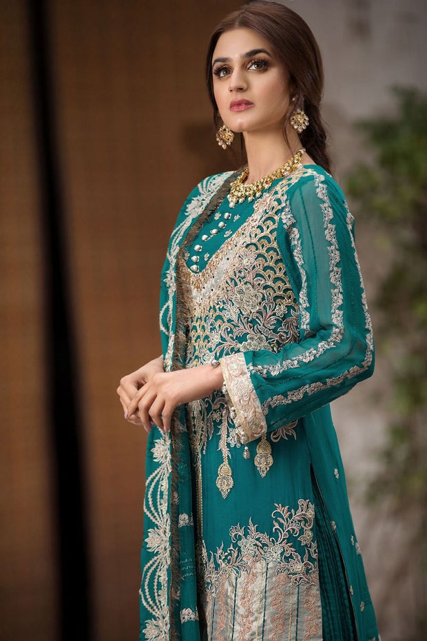 Pakistani Chiffon Party Wear 2020 with Embroidery  Side Pose