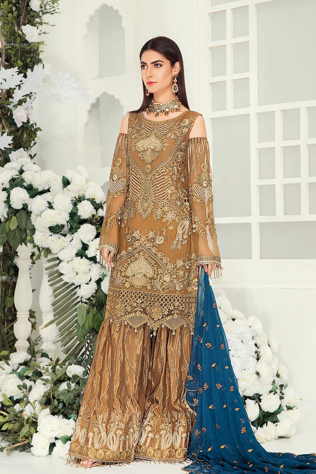 Pakistani Chiffon Suit with Embroidery Overall Look
