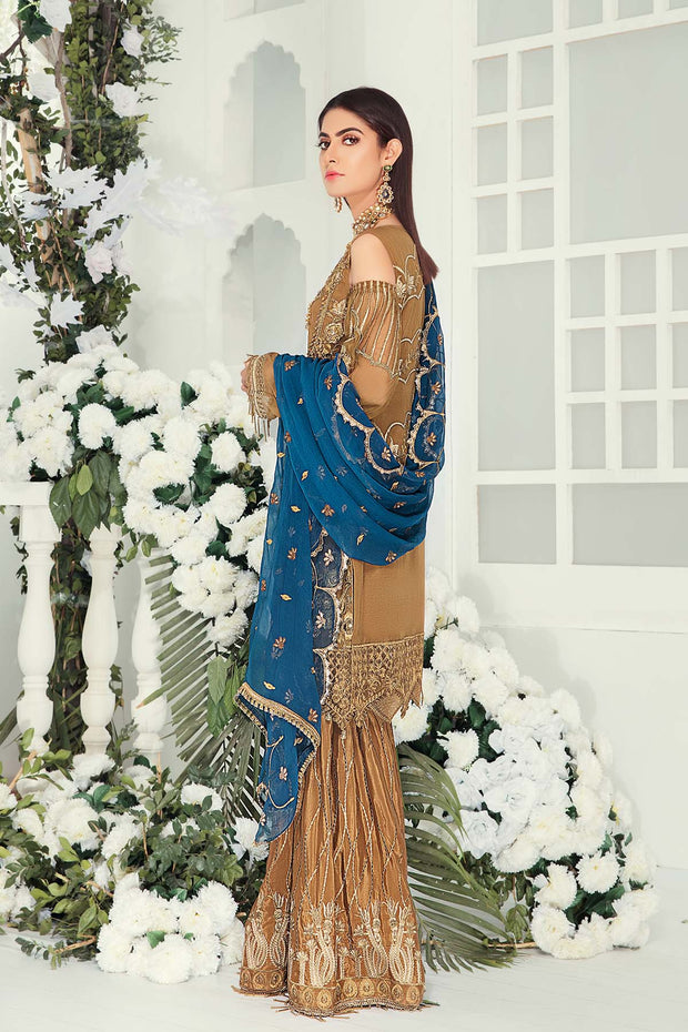 Pakistani Chiffon Suit with Embroidery Backside View