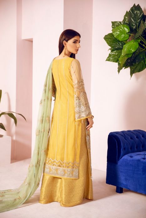 Pakistani Designer Fancy Dress in Mustard Color Backside