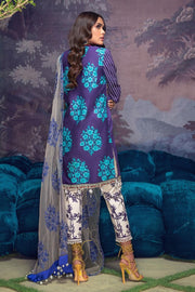 Pakistani Lawn Dress with Net Dupatta Backside
