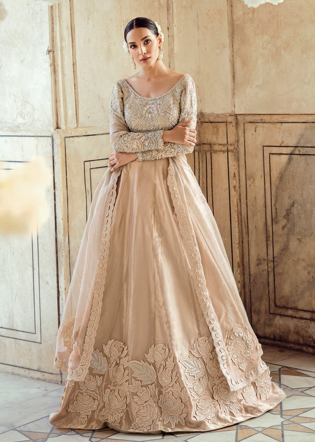 Pakistani Wedding Bridal Lehnga Dress in Ice Pink Color Overall Look