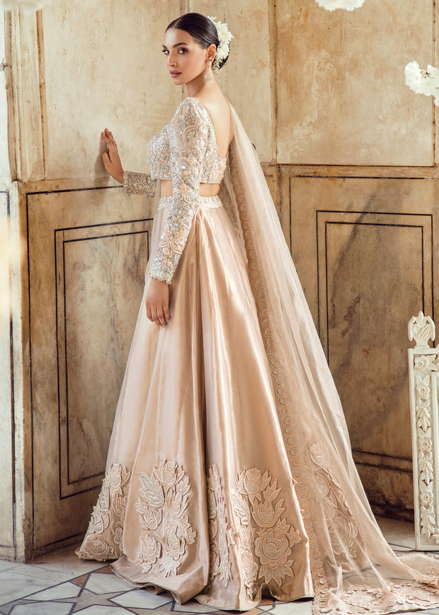 Pakistani Wedding Bridal Lehnga Dress in Ice Pink Color Backside View