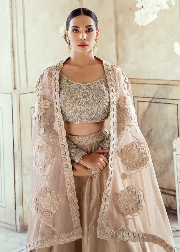 Pakistani Wedding Bridal Lehnga Dress in Ice Pink Color Close Up