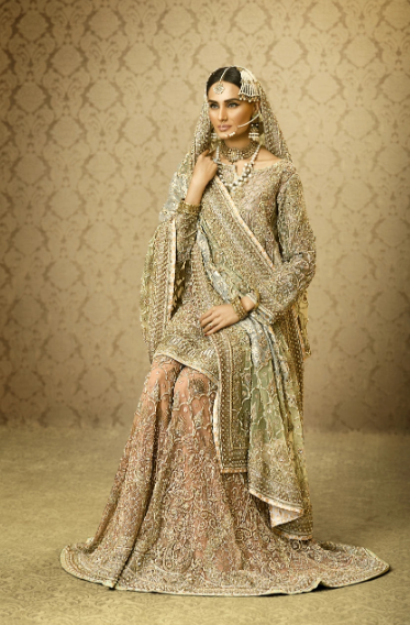 Latest  Indian Wedding Dress for Bride 2