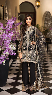 Pakistani black organza dress in elegant black color