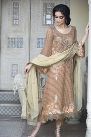 Beautiful Pakistani brown chiffon dress for party # P2295
