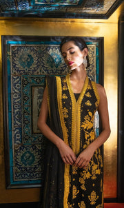Classy Pakistani designer dress online shopping