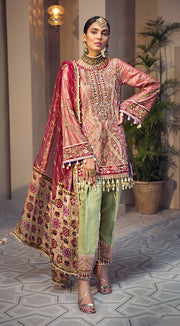 Beautiful embroidered Pakistani net dress in pink and red color