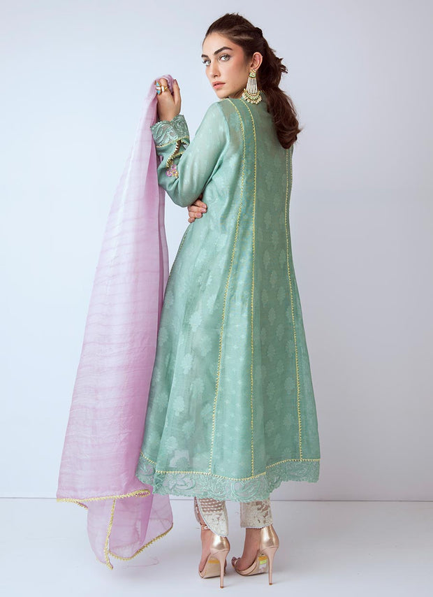 Beautiful Pakistani organza dress in green color # P2270