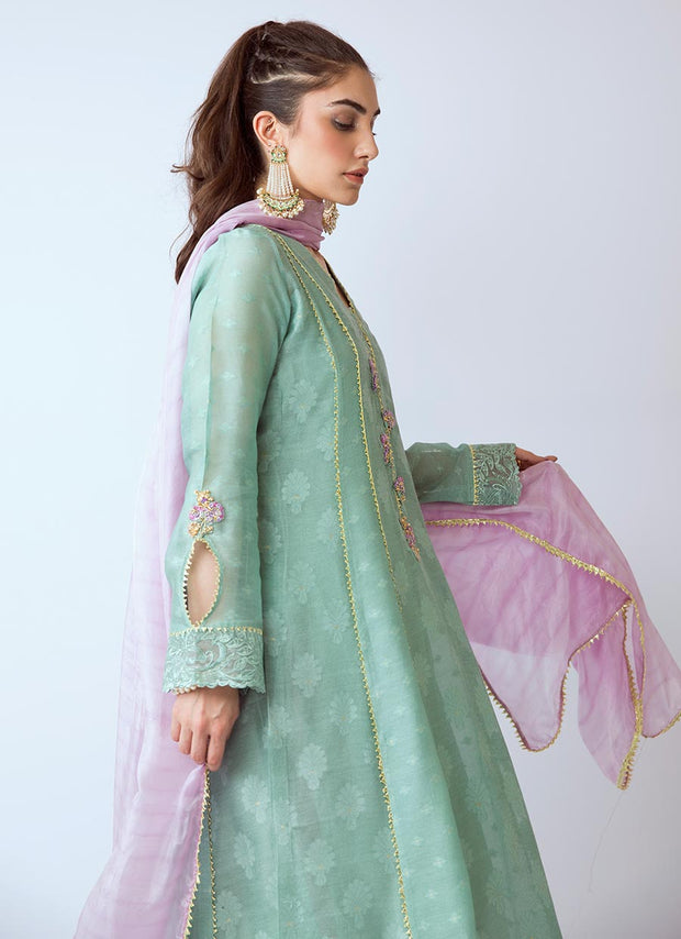 Beautiful Pakistani organza dress in green color # P2270