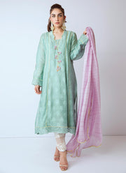 Beautiful Pakistani organza dress in green color