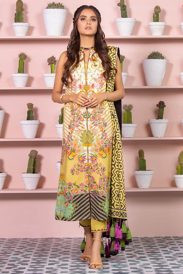 Pakistani Printed Lawn Dress
