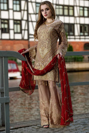 Beautiful Pakistani sequins embroidered outfit in brown color # P2308