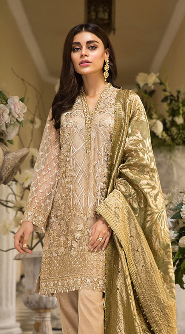 Pakistani embroidered organza dress in dark skin color # P2259