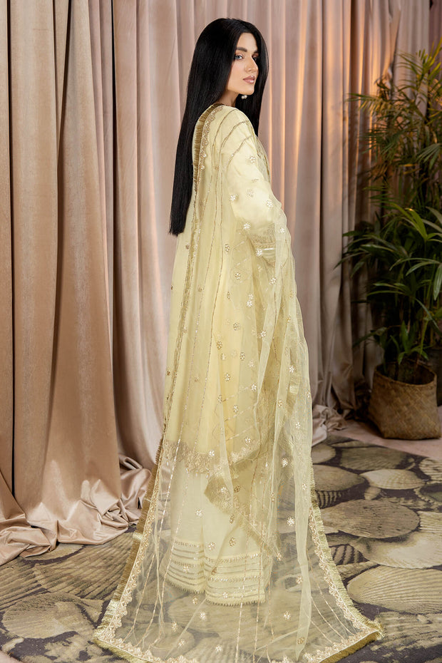 Pale Silver Kameez Trousers with Organza Dupatta Party Dress