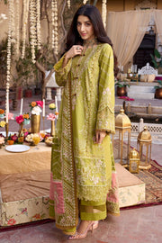 Parrot Green Embellished Kameez Trousers Pakistani Eid Dress 2023
