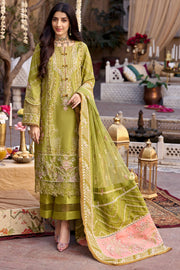 Parrot Green Embellished Kameez Trousers Pakistani Eid Dress