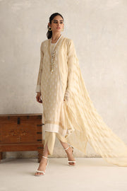Party Dress in Pakistan