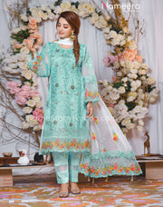 Party Pakistani Dress