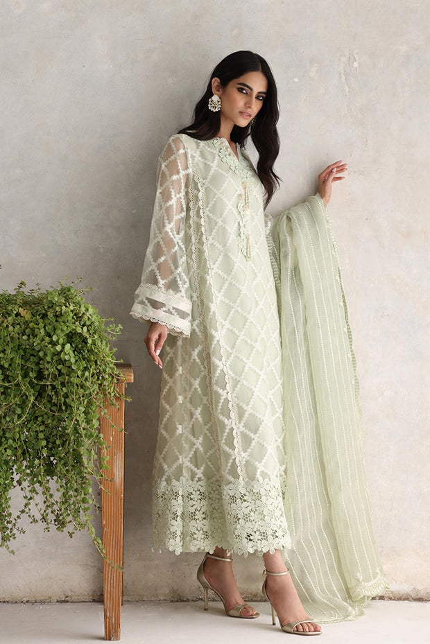 Party Wear Salwar Kameez
